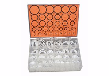 Picture of O-RING & BACK-UP KITS